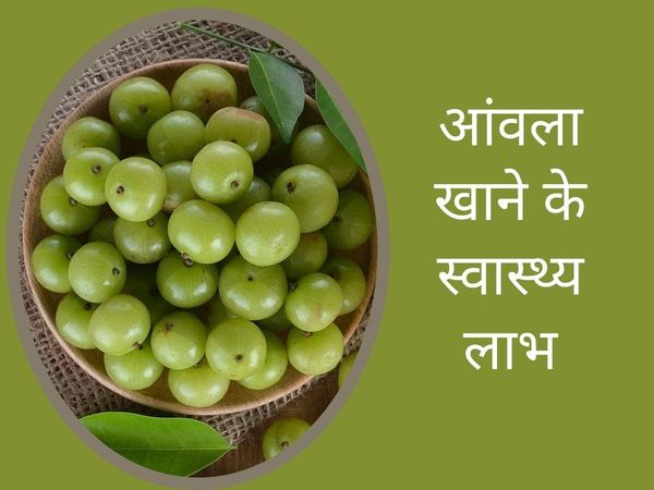 Health Benefits Of Eating Amla In Winter Season, Benefits Of Eating Amla In Winter Season, Health Benefits Amla, benefits of amla for skin, benefits of amla for hair, amla for skin whitening, how to use amla powder for skin whitening, amla powder for face