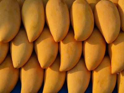 health benefits of mangoes health benefits of mangoes