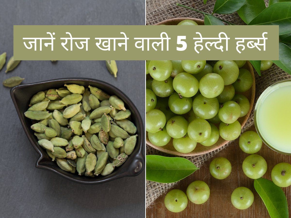 healthy herbs amla cinnamon fennel seeds cardamom turmeric benefits to