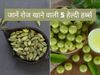 healthy herbs amla cinnamon fennel seeds cardamom turmeric benefits to be taken daily 
