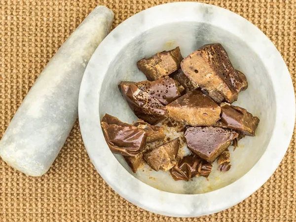 India begins cultivation of heeng for the first time in Himachal Pradesh 