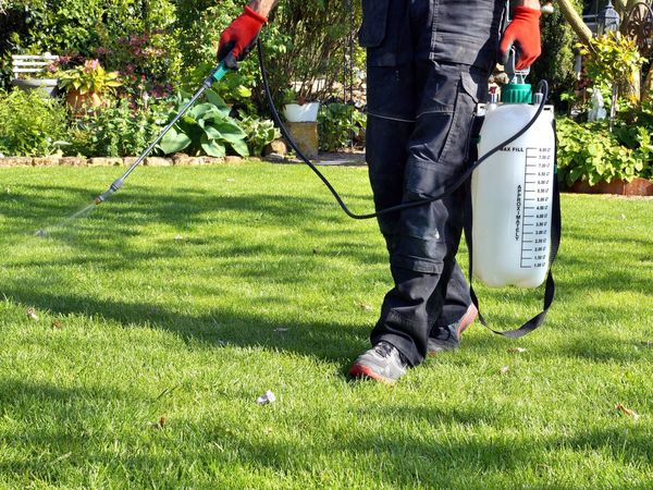 कैंसर का खतरा बढ़ाता है ग्लाइफोसेट, फिर भी हो रहा इस्‍तेमाल (साभार : iStock)