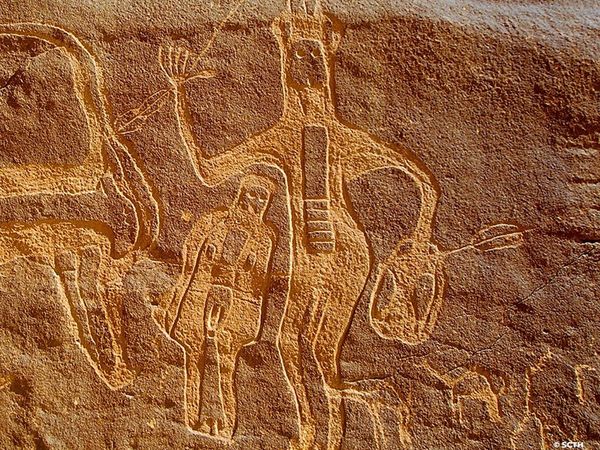  Saudi Arabia's Hima now in UNESCO World Heritage list 