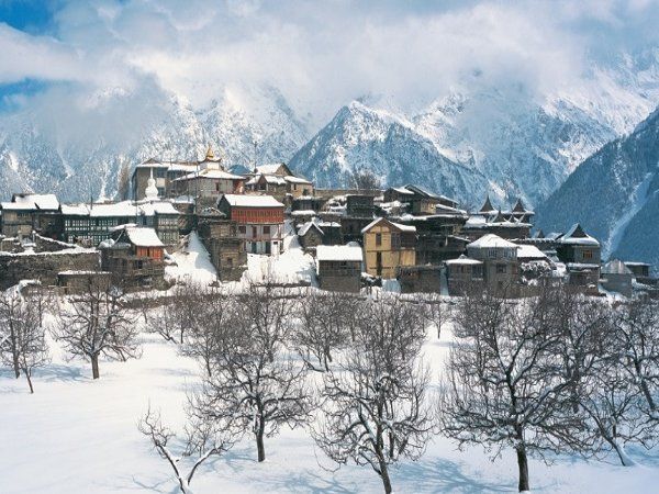 40 percent travel, tourism companies expected to close in 3-6 months: report