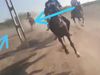 Kutch horse race video