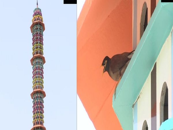 Jaipurs Pinjara Pol Goshala has built a 6 storey building to house birds