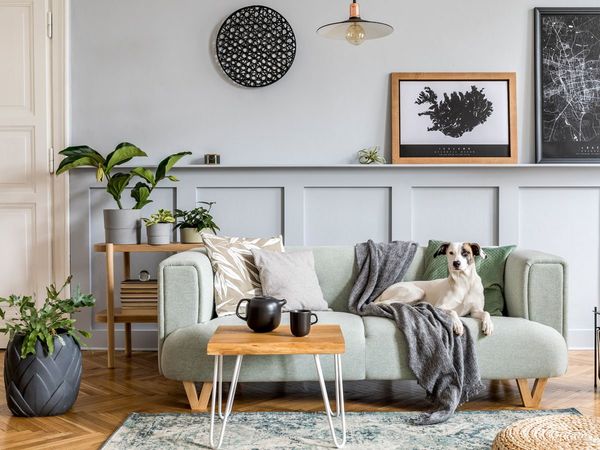 Rainy Season Home Tips How to Remove Stink 