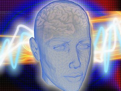 how to increase serotonin level how to increase serotonin level