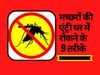 Mosquito Revoming Homecare Tips Article, Home remedies to kill mosquitoes, 9 Home remedies to kill mosquitoes, 9 Home remedies to kill mosquitoes in hindi, मच्छरों को मारने के 9 घरेलू उपाय, मच्छर भगाने का 9 घरेलू उपाय, मच्छर से बचाव के 9 घरेलू उपाय,