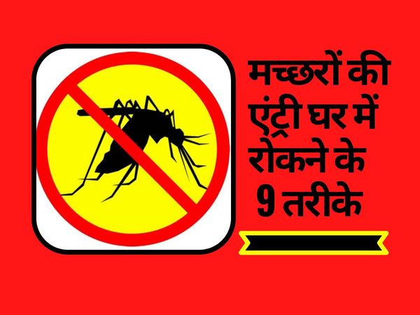 Mosquito Revoming Homecare Tips Article, Home remedies to kill mosquitoes, 9 Home remedies to kill mosquitoes, 9 Home remedies to kill mosquitoes in hindi, मच्छरों को मारने के 9 घरेलू उपाय,  मच्छर भगाने का 9 घरेलू उपाय, मच्छर से बचाव के 9 घरेलू उपाय,