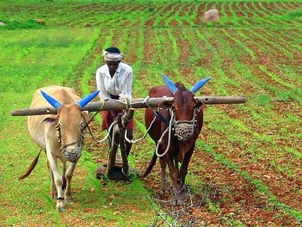 how to register for pm kisan yojana