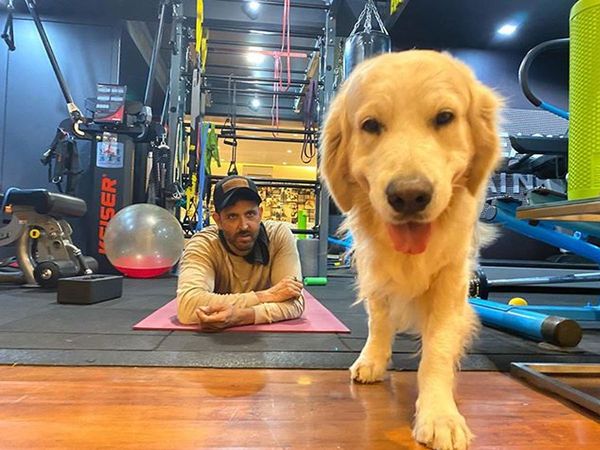 Tips to take care of pets