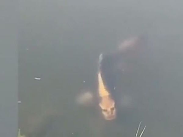  Fish Viral Video Fish with human face Shocking Viral Video in Hindi