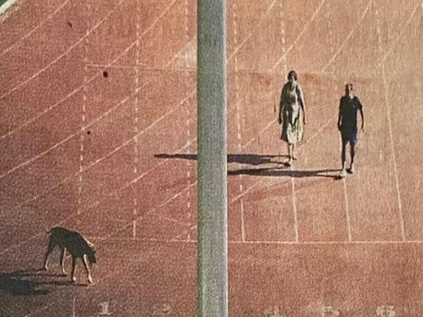 Thyagaraj Stadium, IAS officer Sanjeev Khirwar, transferred