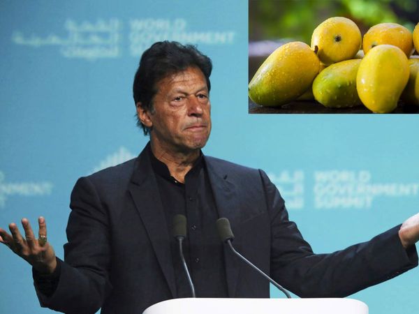 US CHINA REFUSE PAKISTAN'S MANGO