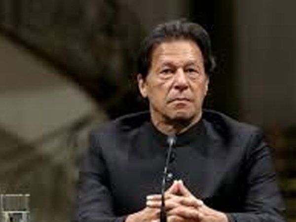 Imran Khan's step son Musa released immediately under pressure despite possession of liquor