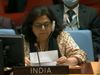 कश्‍मीर पर भारत की पाकिस्‍तान को दो टूक,  UNSC में बोला भारत- आतंकवाद के खिलाफ जारी रखेंगे अभियान