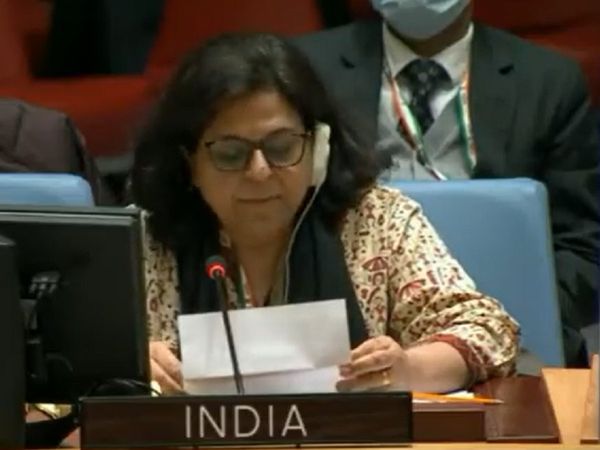 कश्‍मीर पर भारत की पाकिस्‍तान को दो टूक,  UNSC में बोला भारत- आतंकवाद के खिलाफ जारी रखेंगे अभियान
