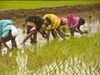 Wife can get benefit of PM Kisan Yojana, know what are the rules