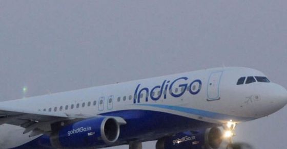 UAE bans Indigo flights till August 24, this is the reason
