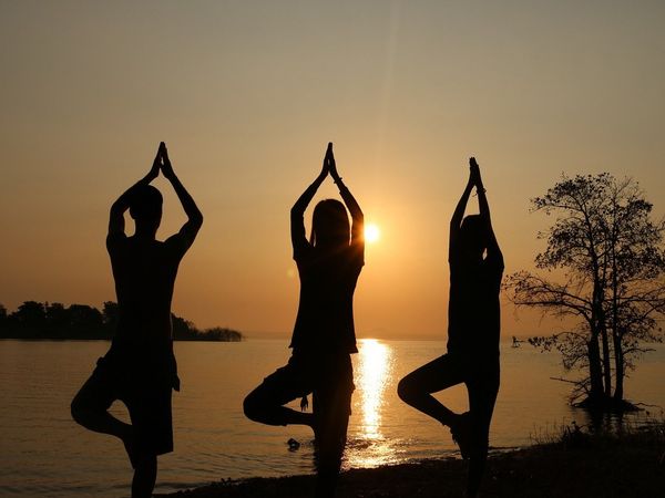 international yoga day 2020