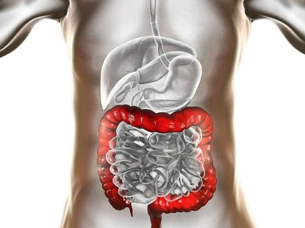 Cleanse Colon With These Foods