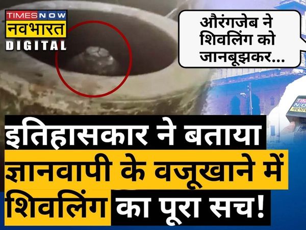    What says historian about shivling in wazoo khana