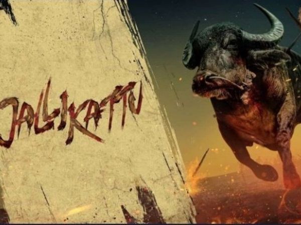 jallikattu for oscars know important details about malyalam movie 