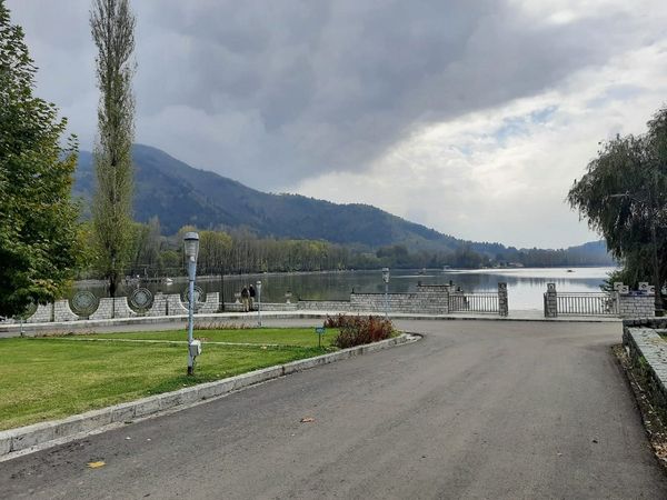 Jammu and Kashmir, stone pelters, terrorism,