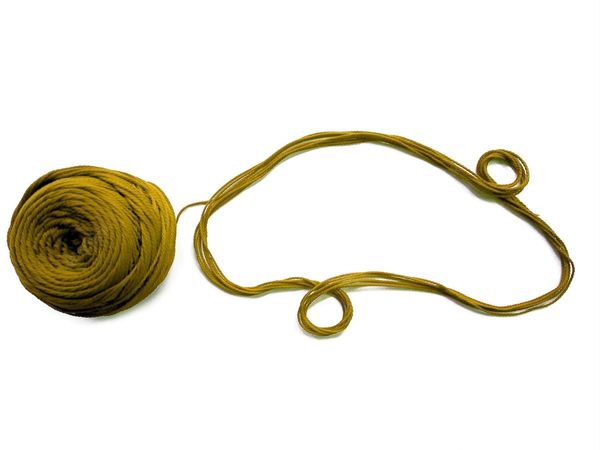 Janeu Importance on Sawan