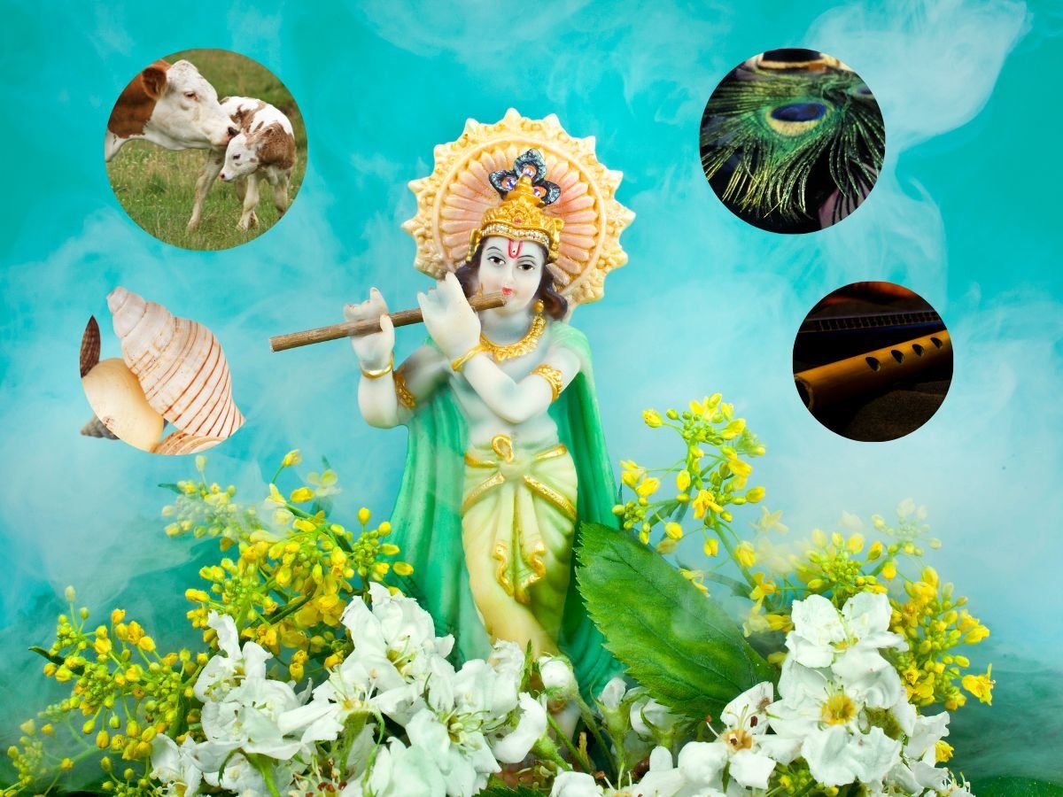 Lord Krishna: Janmashtami 2022 makhan morpankh flute five things bring at home on Janmashtami sri krishna blessing you - Janmashtami 2022: जन्माष्टमी पर घर ले आएं ये 5 चीजें, बरसेगी श्रीकृष्ण की कृपा