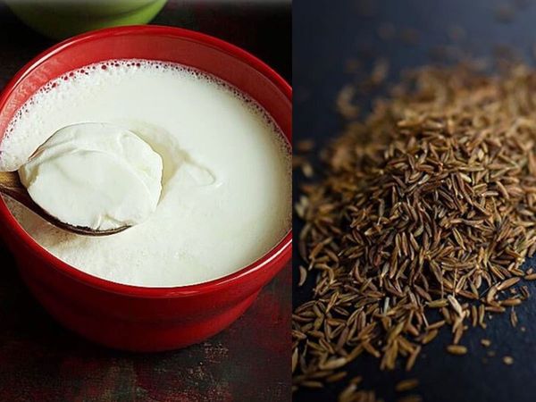 Curd And Roasted Cumin Seed 