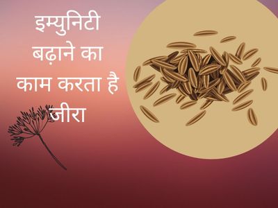जीरा का उपयोग: हिंदी व्यंजनों में स्वाद और सेहत