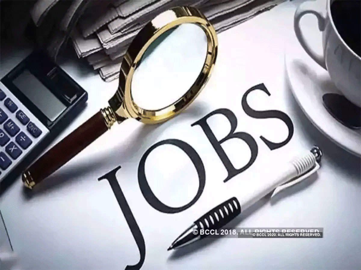 Jobs : वीवीडीएन ने हरियाणा के मानेसर में खोली फैक्ट्री, देगी 1 लाख लोगों को नौकरी