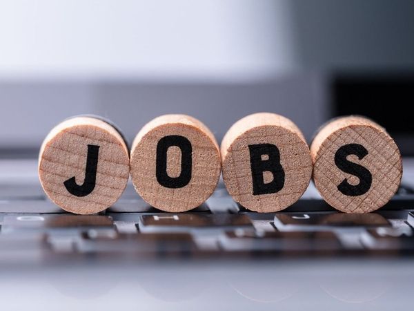 Sarkari Naukri Latest Notification