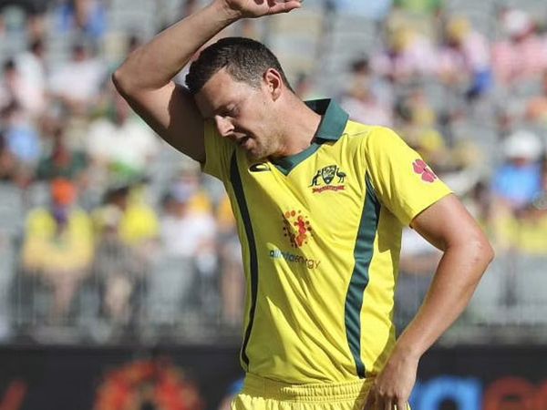 josh hazlewood