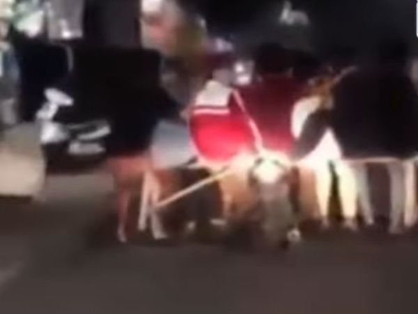 Funny Viral Video Jugaad bike funny video goes viral on social media