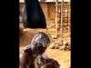 Jugaad Video Shower Funny Jugaad Viral Video in Hindi