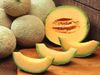  How To Buy Tasty And Sweet Muskmelon meetha aur svadisht kharaboja khareedane ke tips