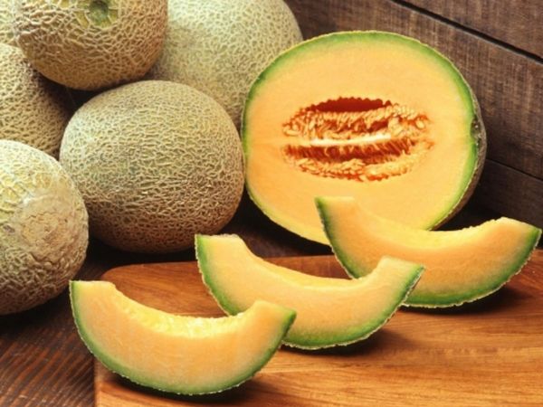  How To Buy Tasty And Sweet Muskmelon meetha aur svadisht kharaboja khareedane ke tips