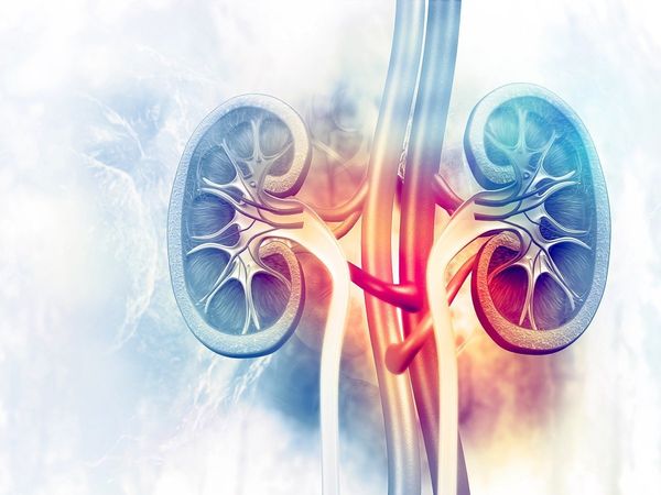 coronavirus and kidney,Effect of corona virus on kidney, effect of corona infection on kidney, Italian doctors did research on covid and kidney
