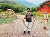 13 foot king cobra found in oil plant in andhra pradesh photo goes viral