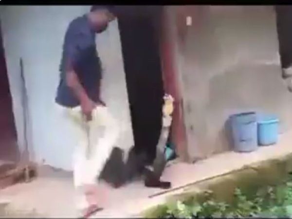 King Cobra Video Man Rescue king cobra with nude hand shocking viral video in hindi