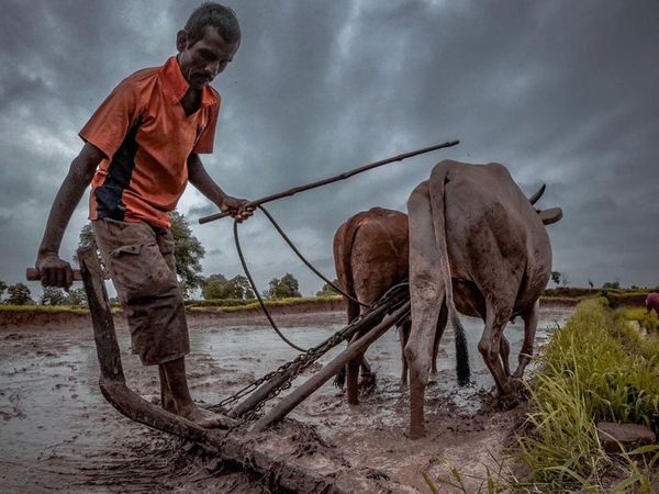 Modi government gave big relief to farmers