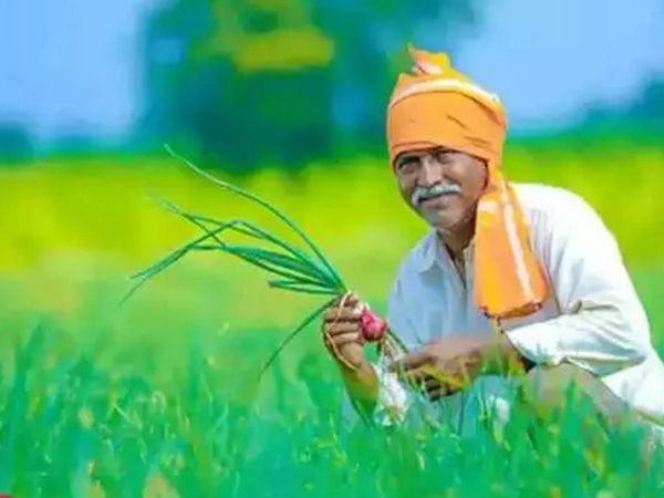 When will the PM Kisan Yojana 10th Kist finally come? Know how people are giving their feedback