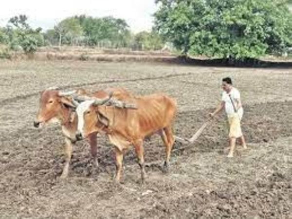 PM Kisan samman kisan nidhi yojna