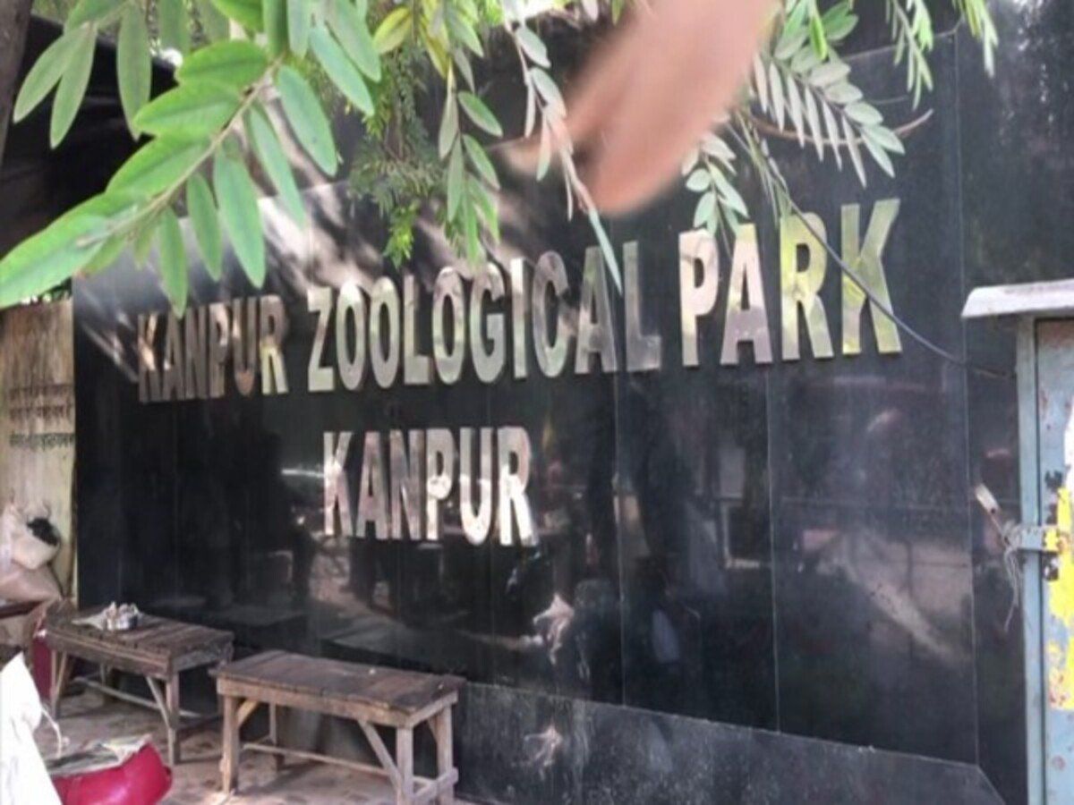 Kanpur Zoological Park News Jungle safari closed in zoological park of