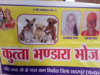 Kutta Bhandara bhoj: छतरपुर का यह भंडारा चर्चा में, आवारा कुत्तों को दिया गया भोज Kutta Bhandara bhoj: छतरपुर का यह भंडारा चर्चा में, आवारा कुत्तों को दिया गया भोज