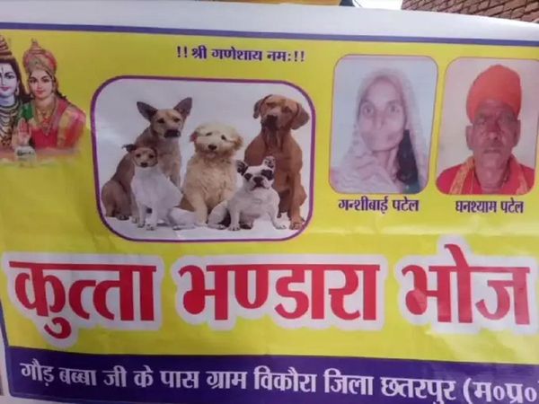 Kutta Bhandara bhoj: छतरपुर का यह भंडारा चर्चा में, आवारा कुत्तों को दिया गया भोज