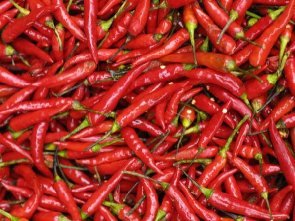 Laal Mirch Ke Upay